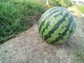 IMG_20250707_174008