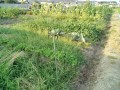 IMG_20250707_174014