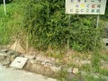 IMG_20250708_073345