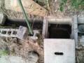 IMG_20250708_073350