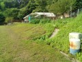 IMG_20250708_073412