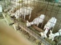 IMG_20250708_073716