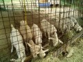IMG_20250708_073722