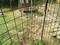 IMG_20250708_073737