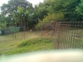 IMG_20250708_073804