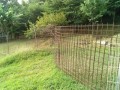IMG_20250708_073819