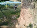 IMG_20250708_080412