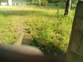 IMG_20250708_080419