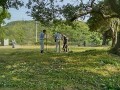 IMG_20250708_082601
