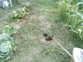 IMG_20250708_183045