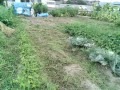 IMG_20250708_183103