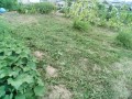 IMG_20250708_183110