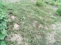 IMG_20250708_183200