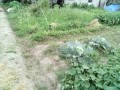 IMG_20250708_183203