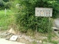 IMG_20250709_104007