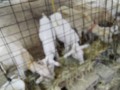 IMG_20250709_104947