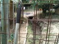 IMG_20250709_105010