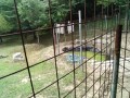 IMG_20250709_105024