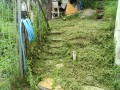 IMG_20250709_115643