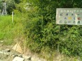 IMG_20250710_091230