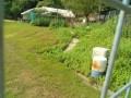 IMG_20250710_091322