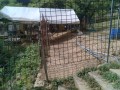 IMG_20250710_091354