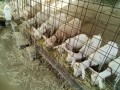 IMG_20250710_091821