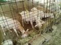 IMG_20250710_091827