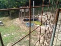 IMG_20250710_091849