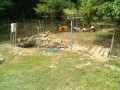 IMG_20250710_091913
