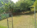 IMG_20250710_091929