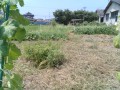 IMG_20250710_104619