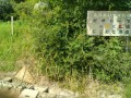 IMG_20250711_085015