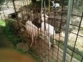IMG_20250711_094522