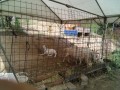 IMG_20250711_094527