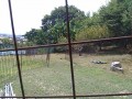 IMG_20250711_094542