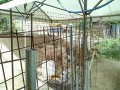 IMG_20250711_094553