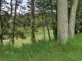 IMG_20250712_090104
