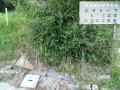 IMG_20250712_175922