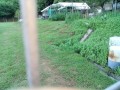 IMG_20250712_175955
