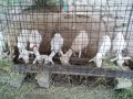 IMG_20250712_180242