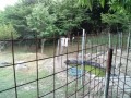 IMG_20250712_180312