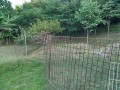 IMG_20250712_180333
