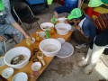 IMG_20250713_092413
