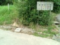 IMG_20250713_170831