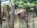 IMG_20250713_172240