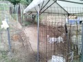 IMG_20250713_172249