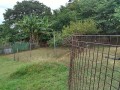 IMG_20250713_172307