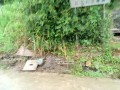 IMG_20250714_153637