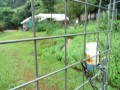 IMG_20250714_153715